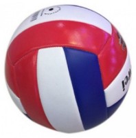 Мяч волейбольный Essa Toys BSDW-23 10102 (DWG110102)