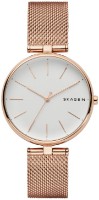 Ceas de mână Skagen SKW2709 imaginea #1 — magazin online Desire.md
