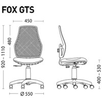 Scaun pentru copii Новый стиль Fox GTS PL55 OH6/С2