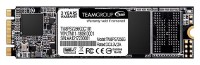 Solid State Drive (SSD) Team MS30 256Gb (TM8PS7256G0C101)