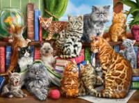 Puzzle Castorland 2000 House Of Cats (C-200726)