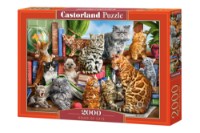 Puzzle Castorland 2000 House Of Cats (C-200726)