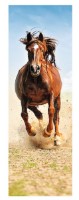 Puzzle Trefl 300 Galloping horse (75004)