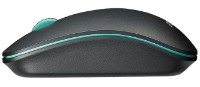 Компьютерная мышь Asus WT300 Black/Blue