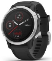 Smartwatch Garmin fēnix 6S Silver/Black (010-02159-01)