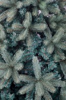 Brad artificial Divi Trees Collection Grand Elite 2.10m imaginea #4 — magazin online Desire.md