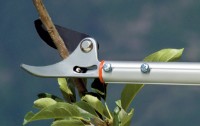 Foarfecă de gradină (secatore) Stocker 509 imaginea #2 — magazin online Desire.md