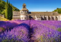 Puzzle Castorland 1000 Lavender Field In Provence. France (C-104284)