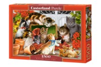 Puzzle Castorland 1500 Kittens Play Time (C-151639)