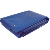 Prelată Greentech 120gr (10x12) Blue