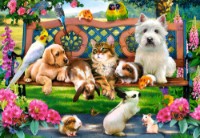 Пазл Castorland 1000 Pets In The Park (C-104406)