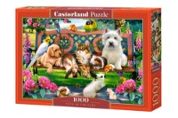 Puzzle Castorland 1000 Pets In The Park (C-104406)