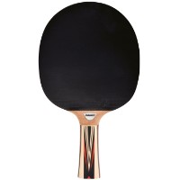 Rachetă pentru tenis de masă Donic Top Team 700 (754197)