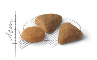 Hrană uscată pentru pisici Royal Canin Savour Exigent 10kg imaginea #2 — magazin online Desire.md