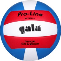 Мяч волейбольный Gala Pro-Line BV5011S