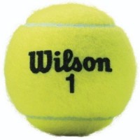 Мячи для тенниса Wilson Championship (WRT110000)
