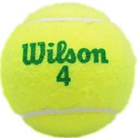 Minge pentru tenis Wilson Starter Green (WRT137400)