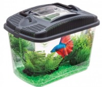 Acvariu Aquael Betta Kit 3L (114563)