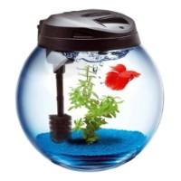 Acvariu Aquael Bowl Sphere 45 Black (113443)