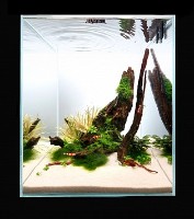Декор для аквариумов и террариумов Aquael Mangro Root M (200292)