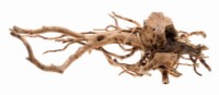Декор для аквариумов и террариумов Aquael Root Driftwood L (109344)