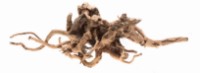 Decor pentru acvarii și terarii Aquael Root Driftwood M (109343)