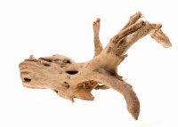 Decor pentru acvarii și terarii Aquael Root Driftwood S (109342)