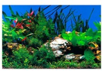 Задний фон для аквариумов и террариумов Ferplast Blu 9040
