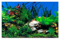 Fundal pentru acvarii și terarii Ferplast Blu 9049