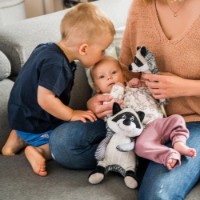 Мягкая игрушка BabyOno Racoon Rocky (745)  фото №5 — интернет-магазин Desire.md