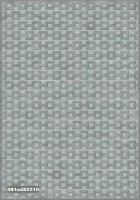 Covor Ecofloor Farashe (391C482210) Trendy 1.60x2.30m
