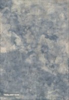 Ковёр Ecofloor Vintage (765C497220) 2.40x3.40m