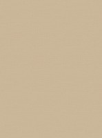 Covor Devos Caby Floorlux Champagne/Taupe (20580) 0.80x1.50m 