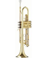 Труба Parrot 6416 L