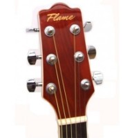 Акустическая гитара Flame DG200 NA