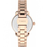 Ceas de mână Timex Standard (TW2U14000)