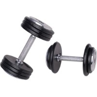 Gantera Insportline 2.5kg (1865)