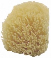 Burete de baie pentru copii Jane Natural Sea Sponge 2pcs (40103)