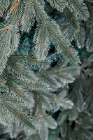 Brad artificial Divi Trees Collection American Silicon Small 1.80m imaginea #3 — magazin online Desire.md