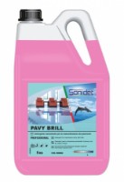 Detergent pentru suprafețe Sanidet Pavy Brill 5kg (SD0850)