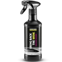 Spray pentru sticlă auto Karcher RM 650 (6.296-105.0)