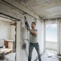 Fierăstrău sabie Bosch GSA 120 (06016B1020) imaginea #3 — magazin online Desire.md