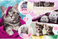 Puzzle Trefl 160 Lovely kittens (15371)