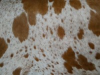 Covor din piele blană naturală Eko Hali Natural Cow Skin PS 01 Standart 3.5m2