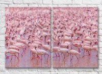 Pictură ArtPoster A huge flock of pink flamingos (3451162) imaginea #1 — magazin online Desire.md