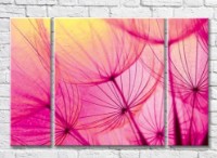 Картина ArtPoster Abstract dandelion petals on a Pink background (3565169)