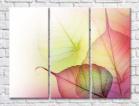 Картина ArtPoster Abstract from transparent leaves (500044)