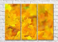 Картина ArtPoster Abstraction from Yellow autumn foliage (500039)