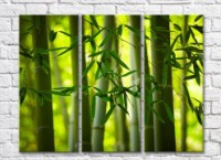 Картина ArtPoster Bamboo leaves on a background of trunks (500060)