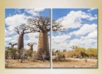 Картина ArtPoster Baobabs in the Savannah (2164445)